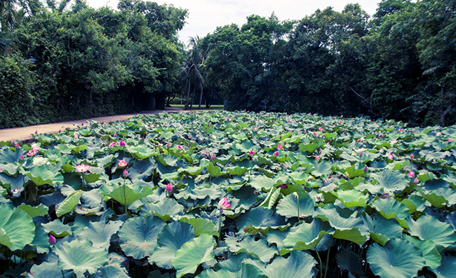 tour-ha-noi-cua-lo-que-bac (10)