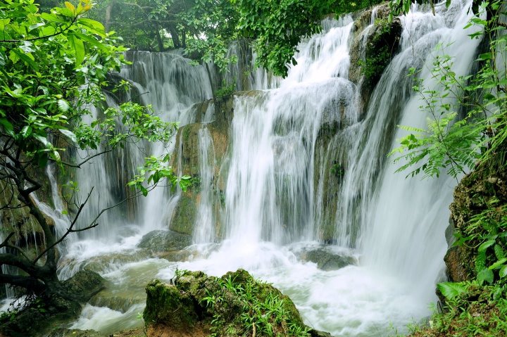 Hoa Lu – Tam Coc – Cuc Phuong National Park  (2d1n)