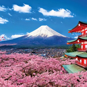 Liên Tuyết Nhật Hàn : TOKYO –NÚI PHÚ SỸ – HAKONE – KYOTO – OSAKA – SEOUL ( 7n6đ)